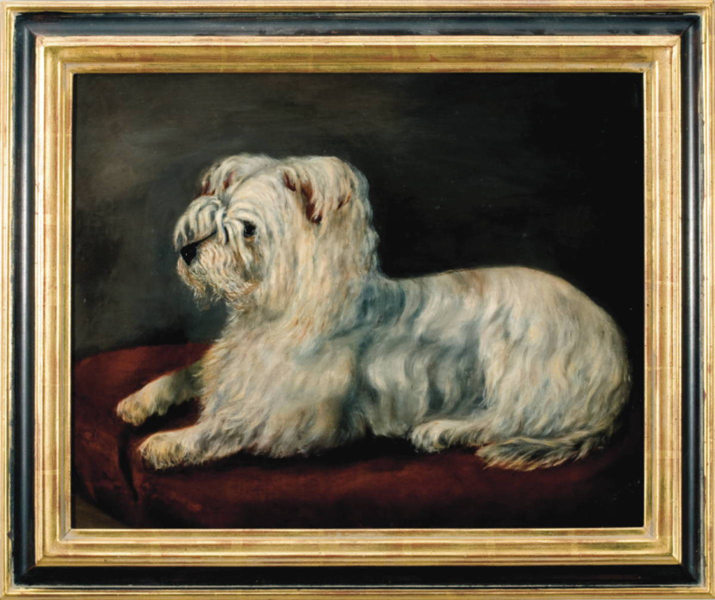 Appraisal: PORTRAIT OF A WHITE YORKSHIRE TERRIER ON A RED CUSHION