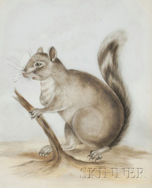 Appraisal: Continental Painted Glass Picture of a Squirrel in a Landscape