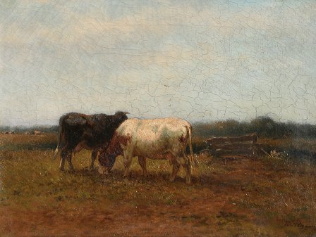 Appraisal: HIGH QUALITY ILLEGIBLY SIGNED COW PAINTING Oil C '' x