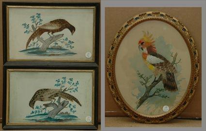 Appraisal: Three Feather-Work Framed Pictures