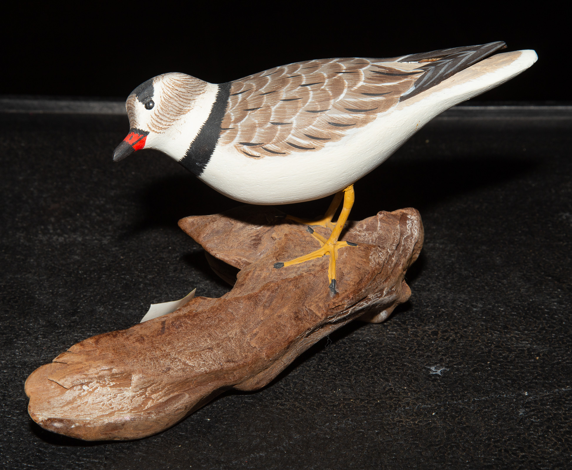 Appraisal: JOHN PATTY PIPING PLOVER SHORE BIRD Signed and dated with