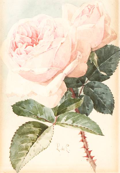 Appraisal: Paul de Longpre French - Pink Roses Signed 'P de