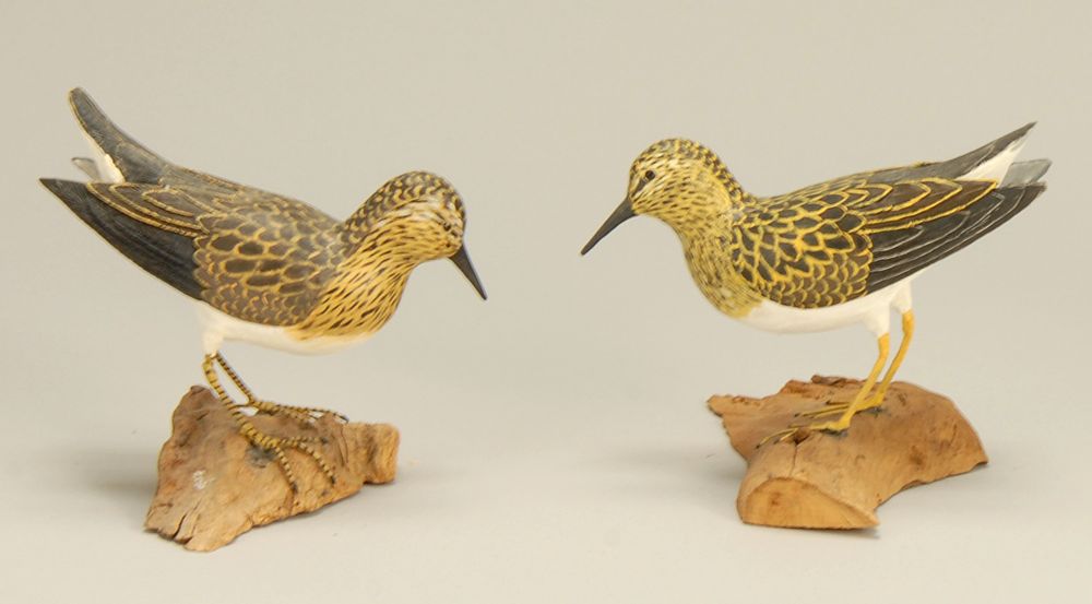 Appraisal: TWO LEAST SANDPIPERS By Gordon Clark Jr of Yarmouthport Massachusetts