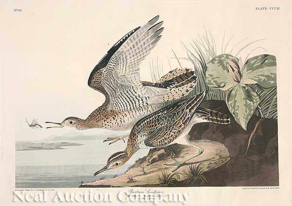 Appraisal: John James Audubon American - Bartram Sandpiper Plate hand-colored engraving