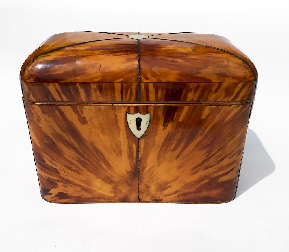 Appraisal: Regency Tortoiseshell Dome Top Double Compartment Tea Caddy Exclusive on