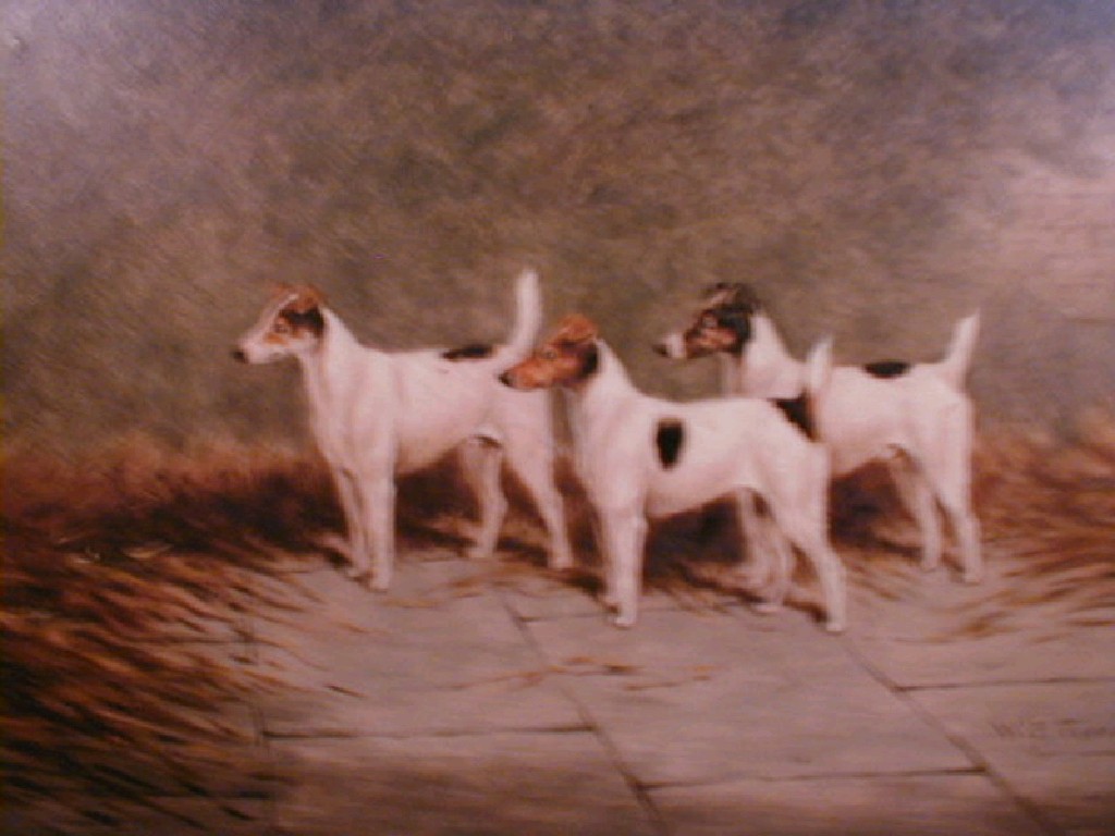 Appraisal: W Eddowes Turner Three smooth haired terriers in a stable