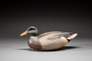 Appraisal: Oversize Mallard Drake by Robert Bob White b Oversize Mallard