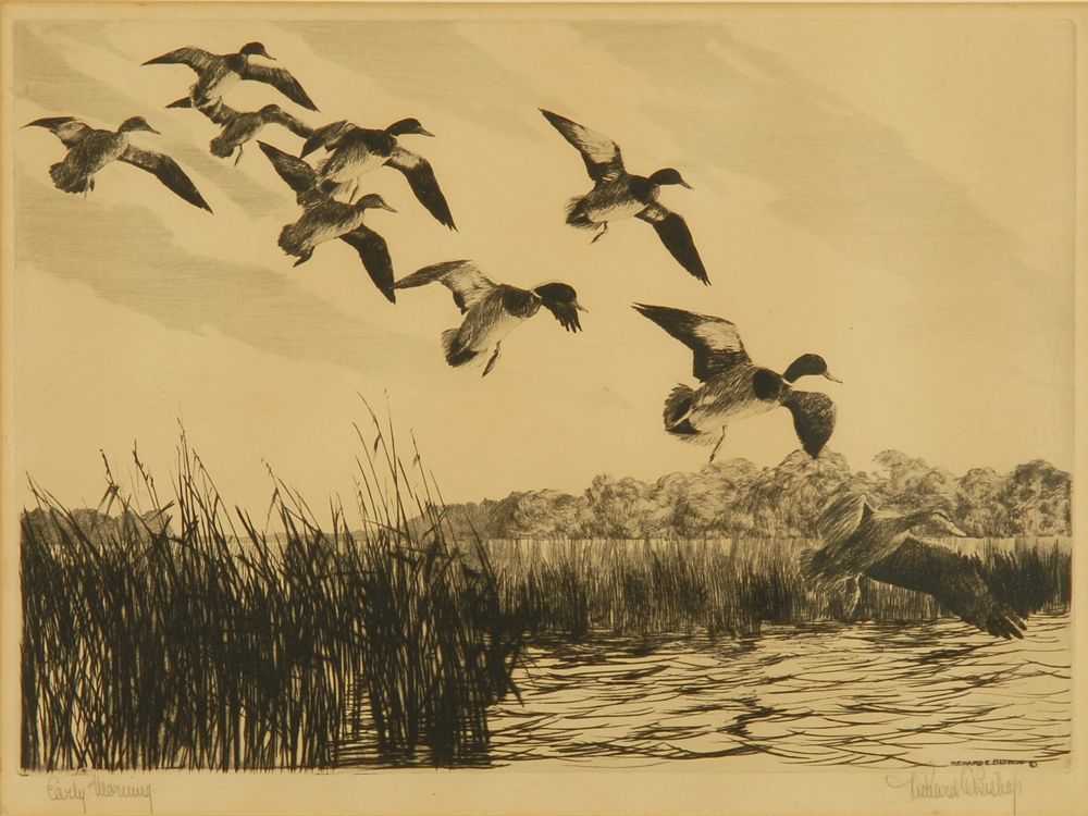 Appraisal: FRAMED ETCHING Early Morning depicting a flock of mallards in