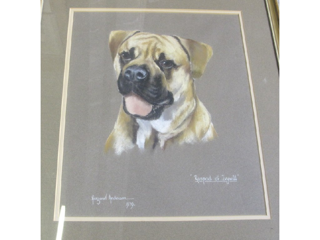 Appraisal: MARGARET ANDERSON Pastel dog portrait 'Rospad of Ivywill' signed and