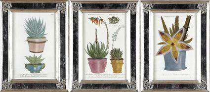 Appraisal: Twelve Botanical Prints Hand-colored engravings framed x in sight