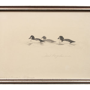 Appraisal: David Hagerbaumer American - Common and Barrow's Goldeneyes pencil signed