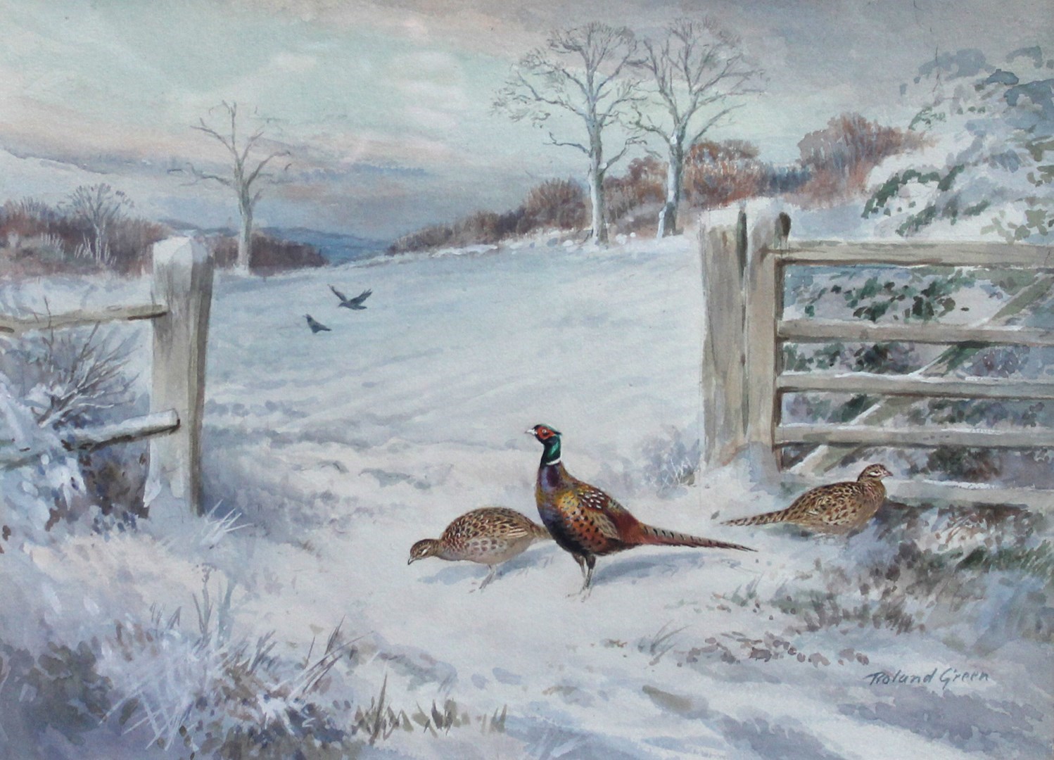 Appraisal: Roland Green - Pheasants in winter watercolour signed cm x