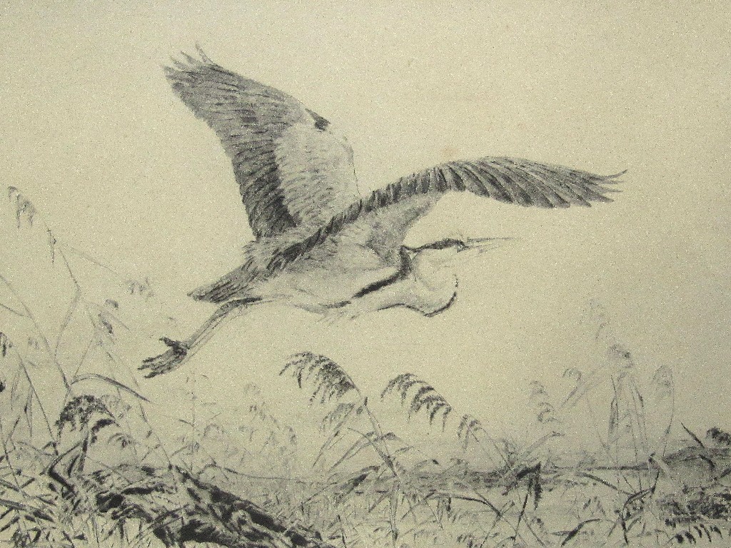 Appraisal: WINIFRED AUSTEN Etching 'Crane Taking Flight' signed in pencil