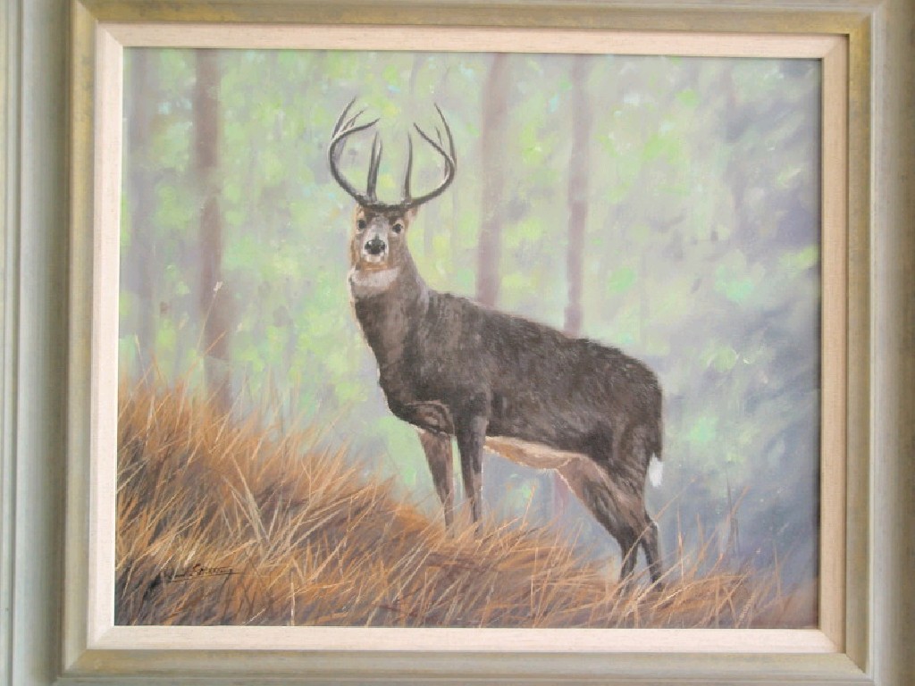 Appraisal: David Stribbling Stag in landscape portrait oil on canvas cm