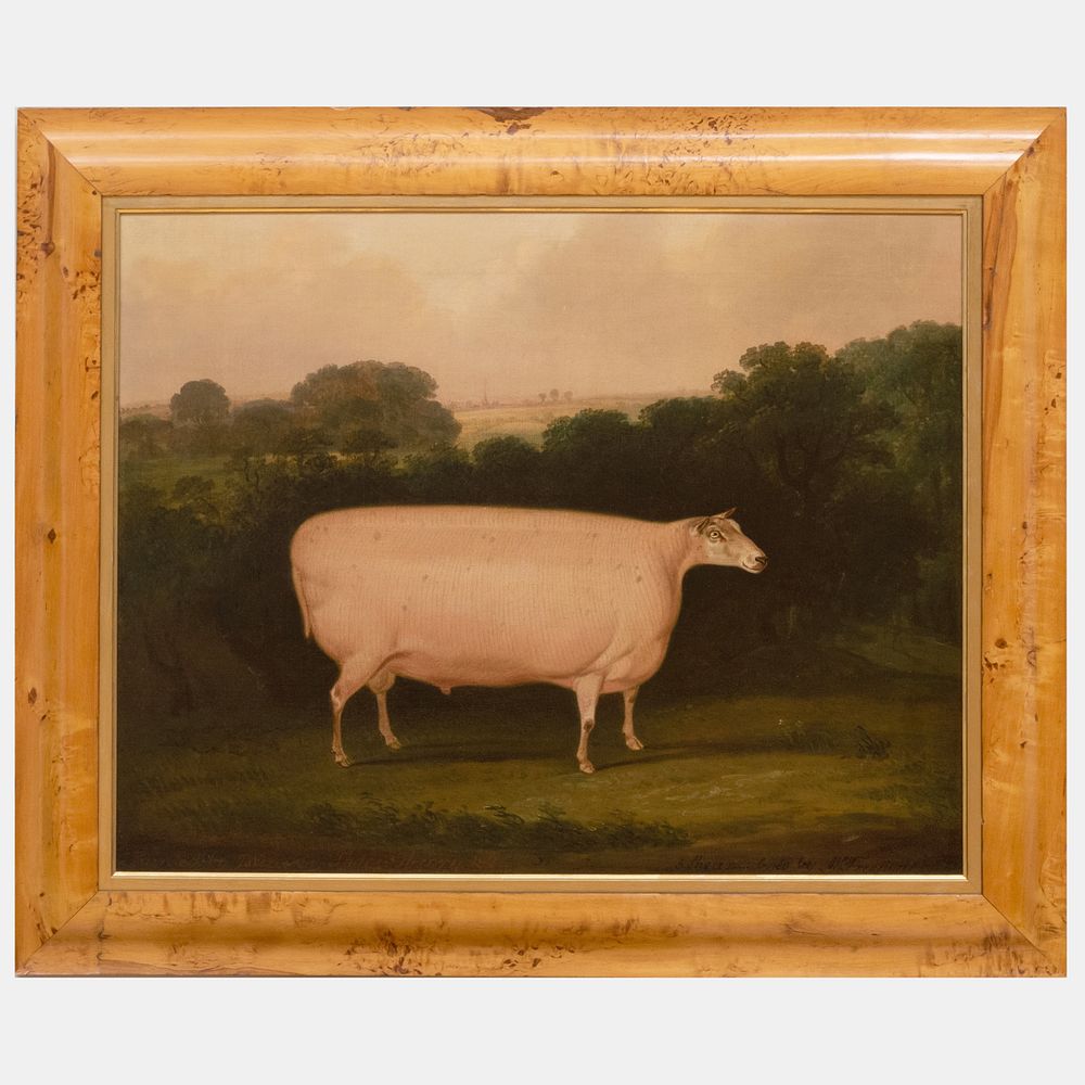 Appraisal: English School Sheep A Pair Two oil on canvas both