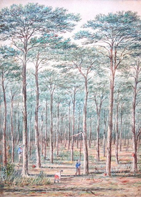 Appraisal: TH CENTURY SCHOOLFigures working in a forest watercolour x