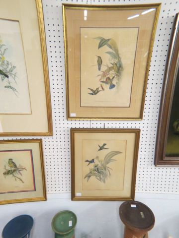 Appraisal: Pair of John Gould Lithographs Hummingbirds handcolored each approx x