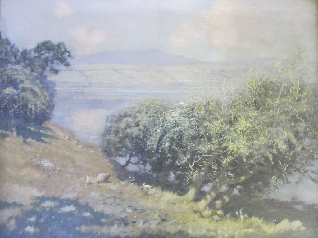 Appraisal: ROBERT HOUSTON - SHEEP ON A LOCHSIDE Oil on canvas