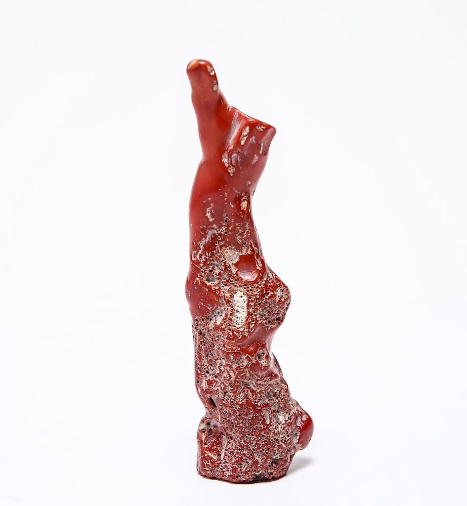 Appraisal: Red Coral Large Polished Branch Red coral large polished branch