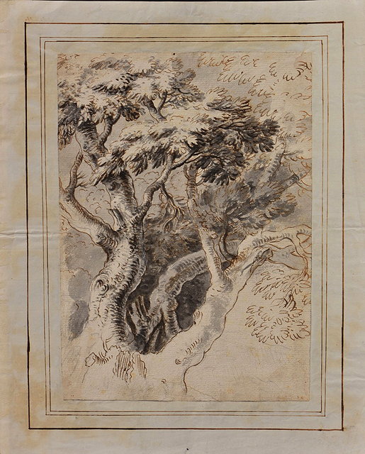 Appraisal: CIRCLE OF SALVATOR ROSA - Tree study pen ink and