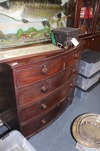 Appraisal: A WILLIAM IV MAHOGANY BOW FRONTED CHEST of two short