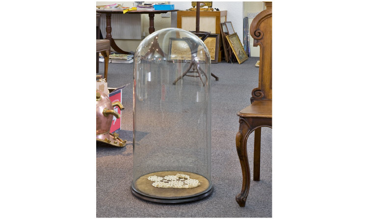 Appraisal: Victorian Glass Dome on Wooden Plinth very large inches in