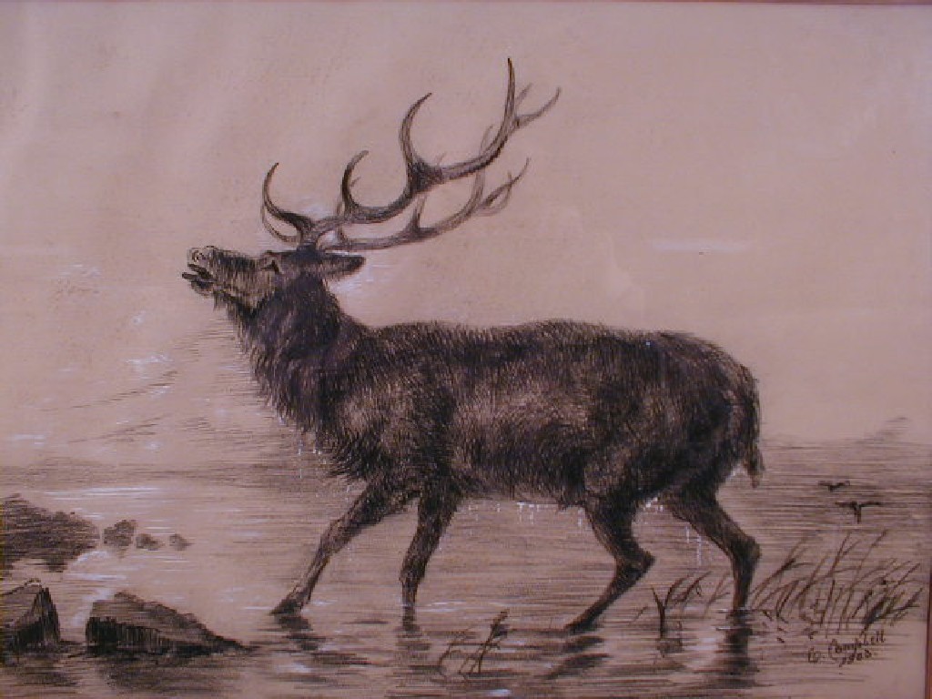 Appraisal: C Campbell Subject Stag standing in shallows Medium Crayon on