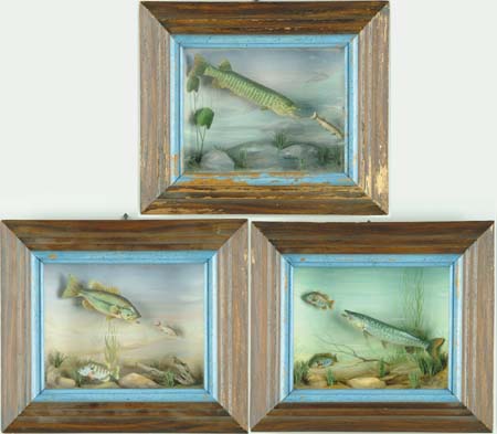 Appraisal: LOT OF THREE CARVED WOOD AND PAINTED FISH DIORAMAS SIGNED