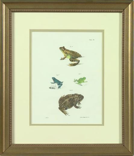 Appraisal: J W Hill American th Century Frogs and Turtles suite