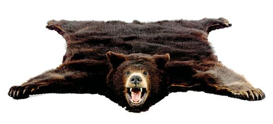 Appraisal: Black bear skin rug mounted head and paws laid to