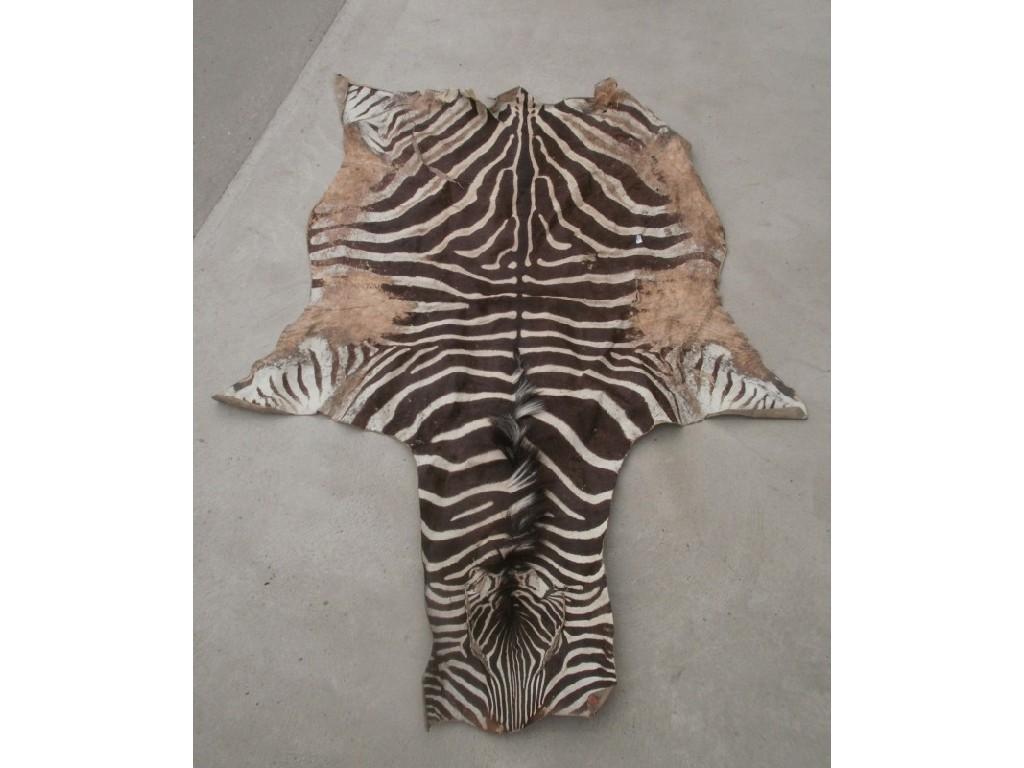 Appraisal: A Zebra skin