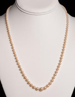 Appraisal: Graduated Pearl Necklace Ivory color freshwater pearls graduated form mm