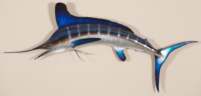 Appraisal: Mounted Fiberglass Blue Marlin H x W x D