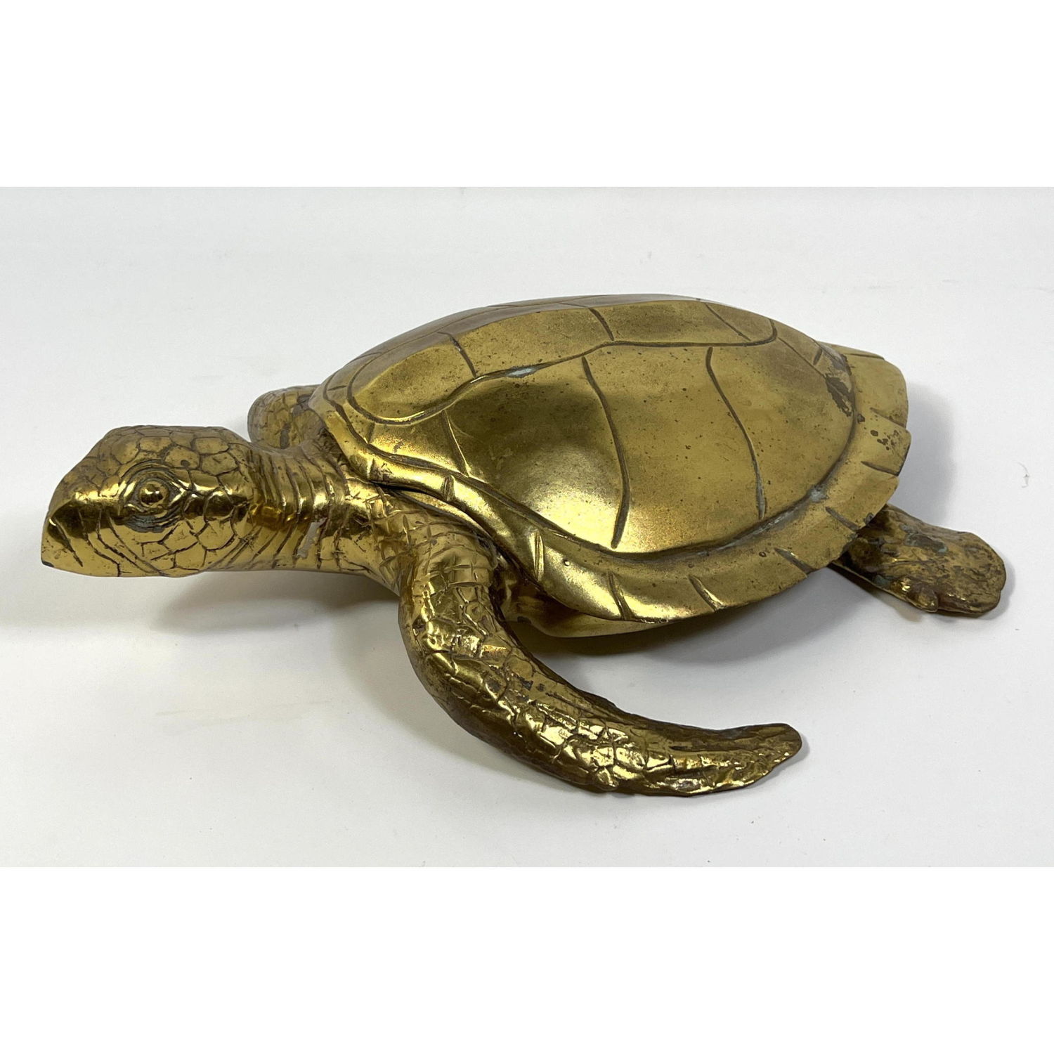 Appraisal: inch Brass Sea Turtle Figural Box Lidded Heavy Construction Dimensions