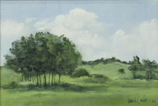 Appraisal: Framed oil on canvas painting Green Landscape signed lower right