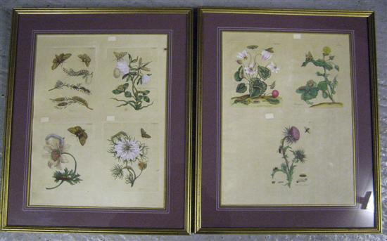 Appraisal: Seven hand-coloured prints of flowers on two sheets of paper