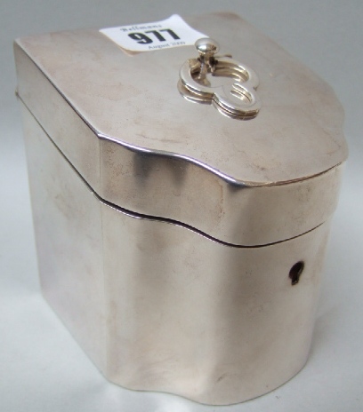 Appraisal: A silver tea caddy shaped as a miniature knife box