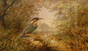 Appraisal: th century English school - Kingfisher on a rocky outcrop