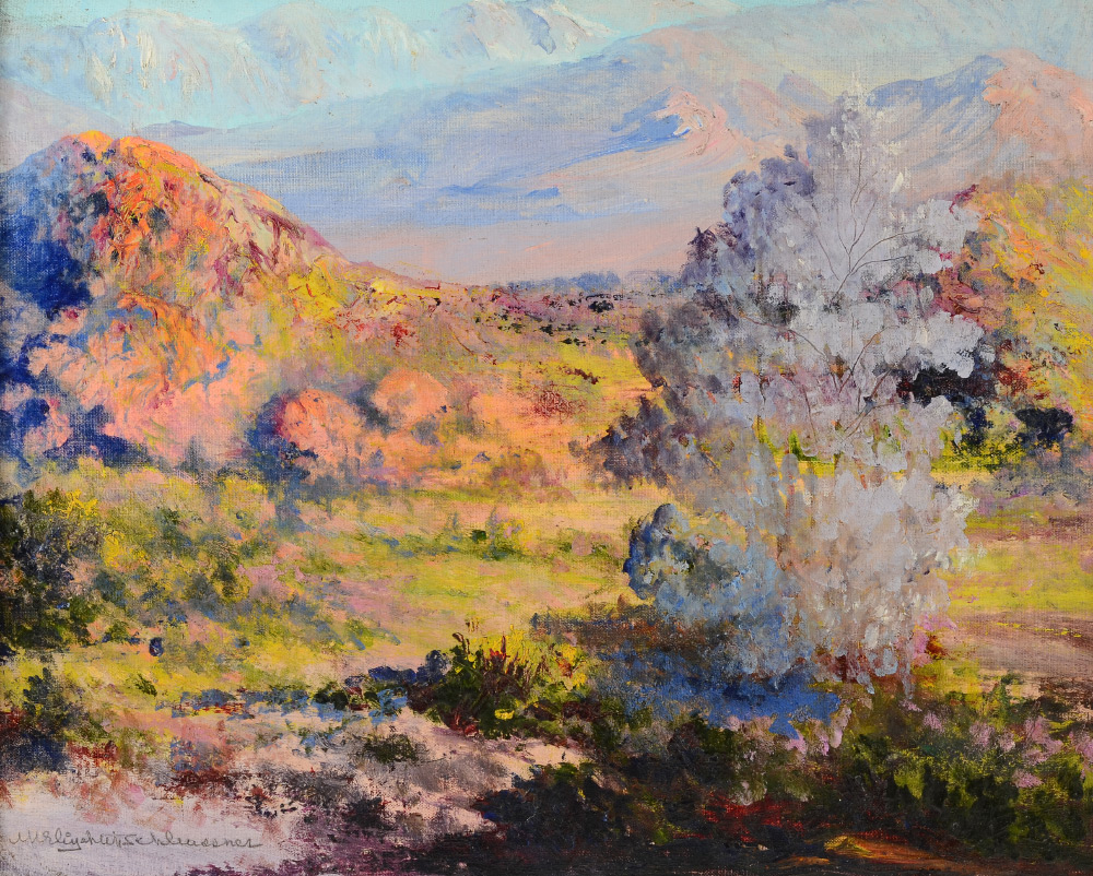 Appraisal: SCHLEUSSNER Elizabeth Canadian - Western Desert Landscape in Bloom with