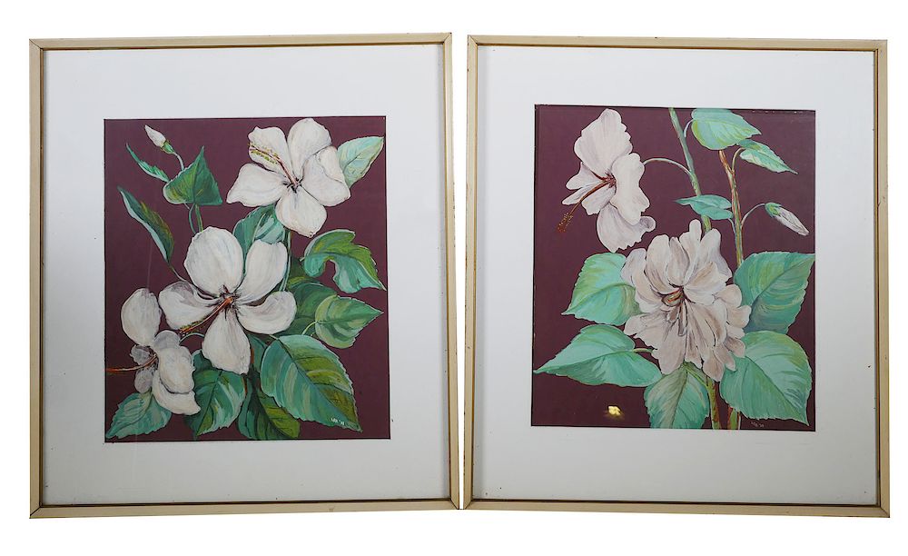 Appraisal: LOULIE ANDERSON Gouache White Hibiscus Pair of early th century