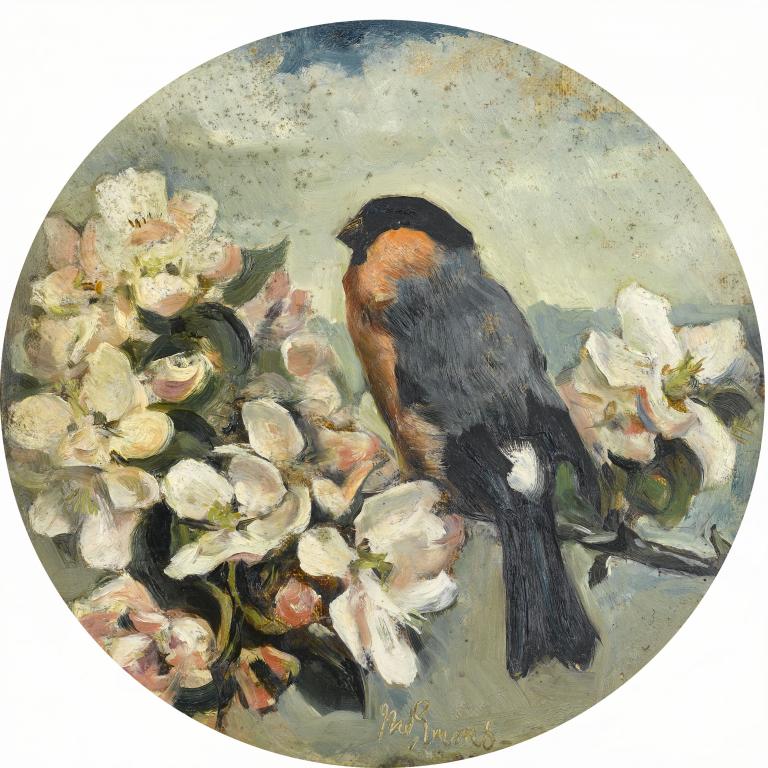 Appraisal: JOHN EMMS - STUDY OF A BULLFINCH ON APPLE BLOSSOM