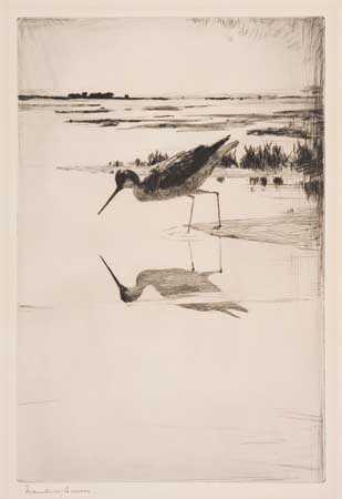 Appraisal: FRANK W BENSON Lone Yellowlegs Drypoint x mm x inches