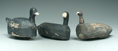 Appraisal: Three coot decoys one with rounded body - in one