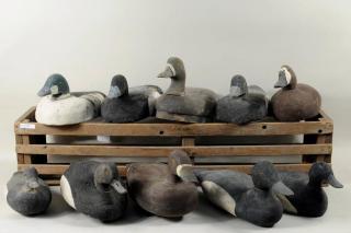 Appraisal: Carved Painted Duck Decoys Ten carved and painted duck decoys