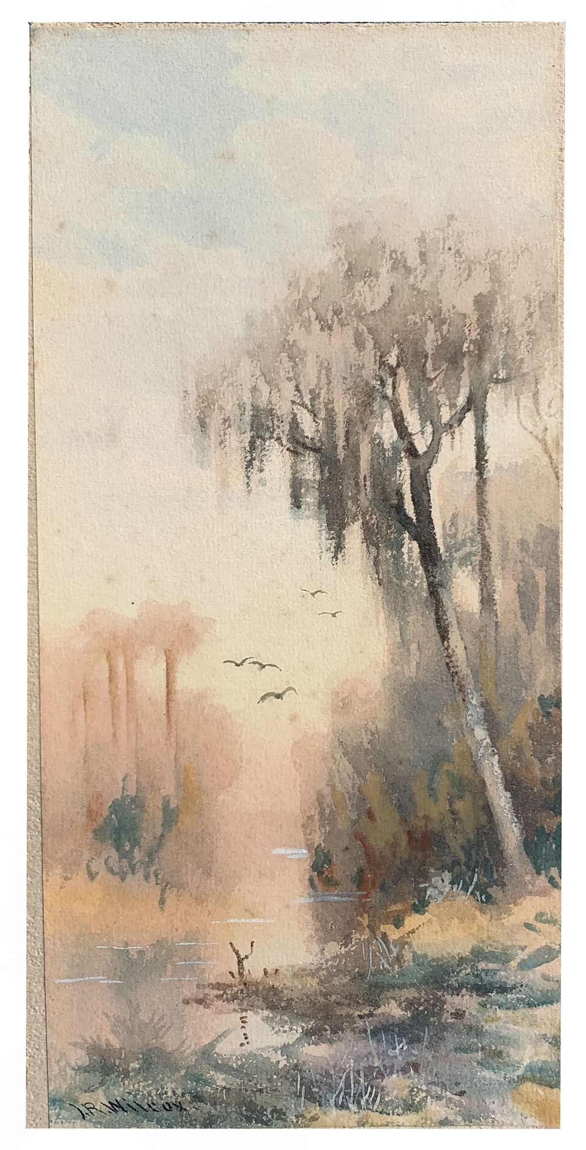 Appraisal: WILCOX J R American - Vertical Florida Misty River Scene