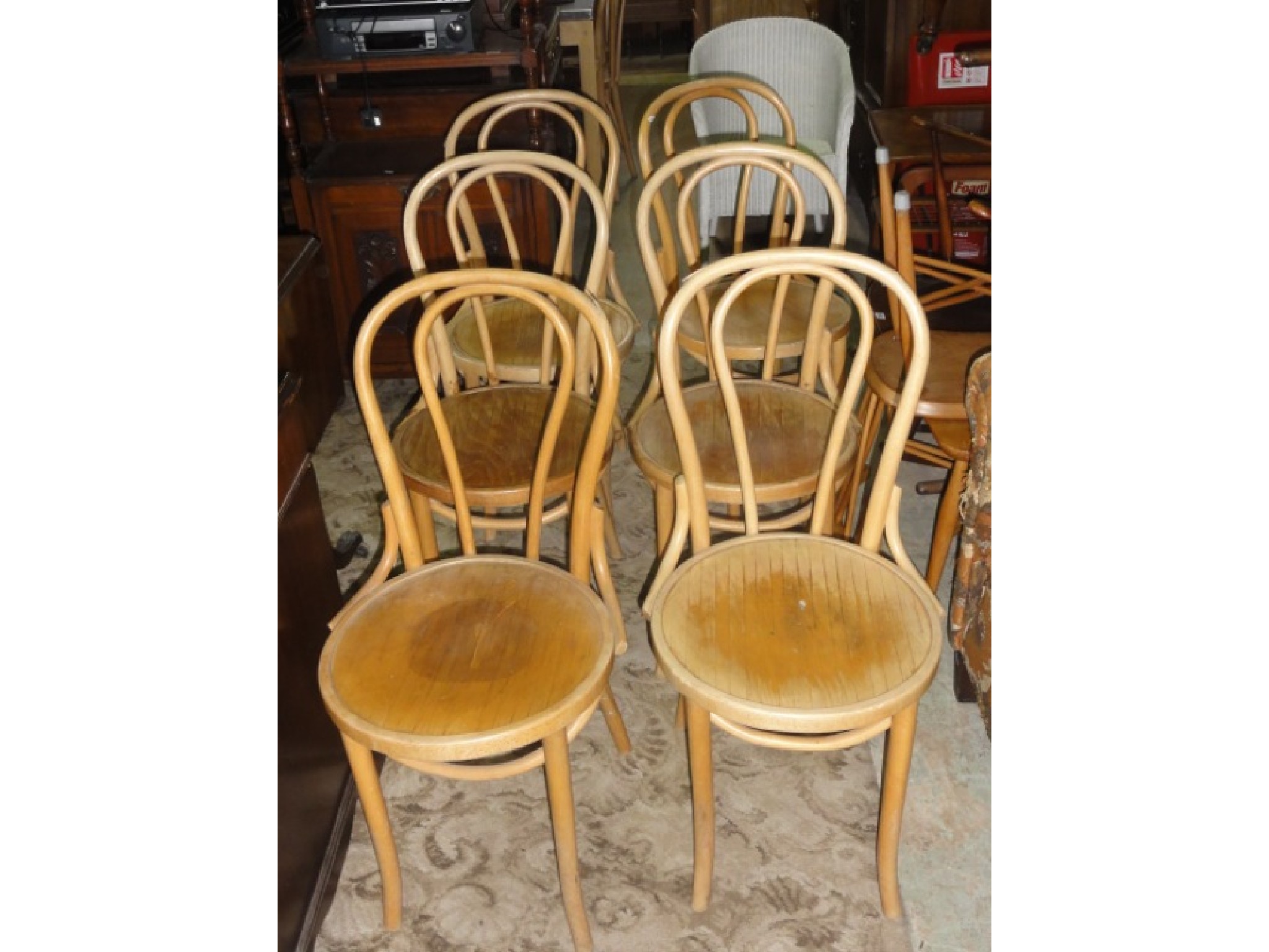 Appraisal: A set of six light beechwood Bentwood caf chairs with