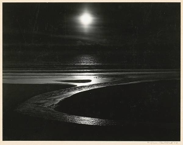 Appraisal: Wynn Bullock American - Let There Be Light Gelatin silver