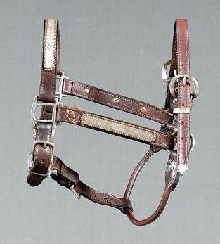 Appraisal: Mexican horse halter leather halter with applied silver bands with