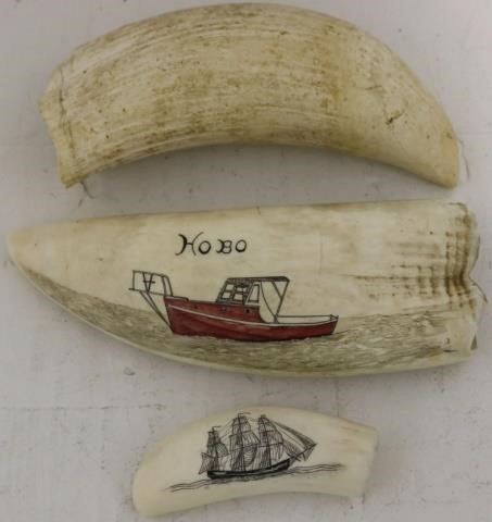 Appraisal: PIECES OF SCRIMSHAW TO INCLUDE A TOOTHWITH POLYCHROME LOBSTER BOAT