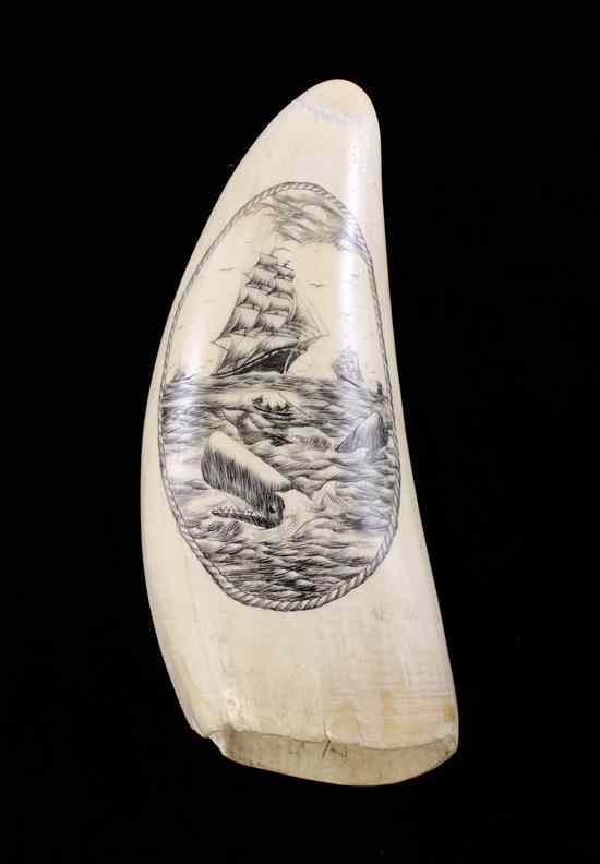 Appraisal: A scrimshaw sperm whale tooth decorated with a whaling scene